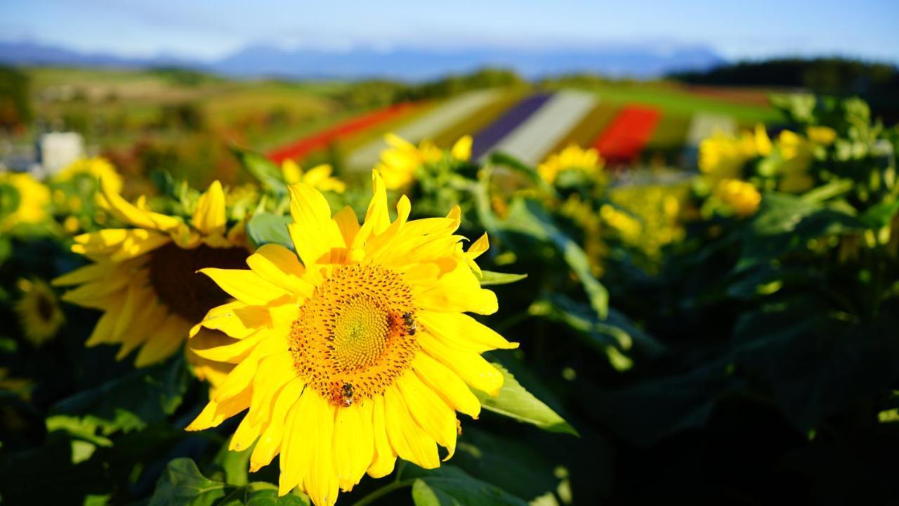 Furano Natulux Hotel Zewnętrze zdjęcie